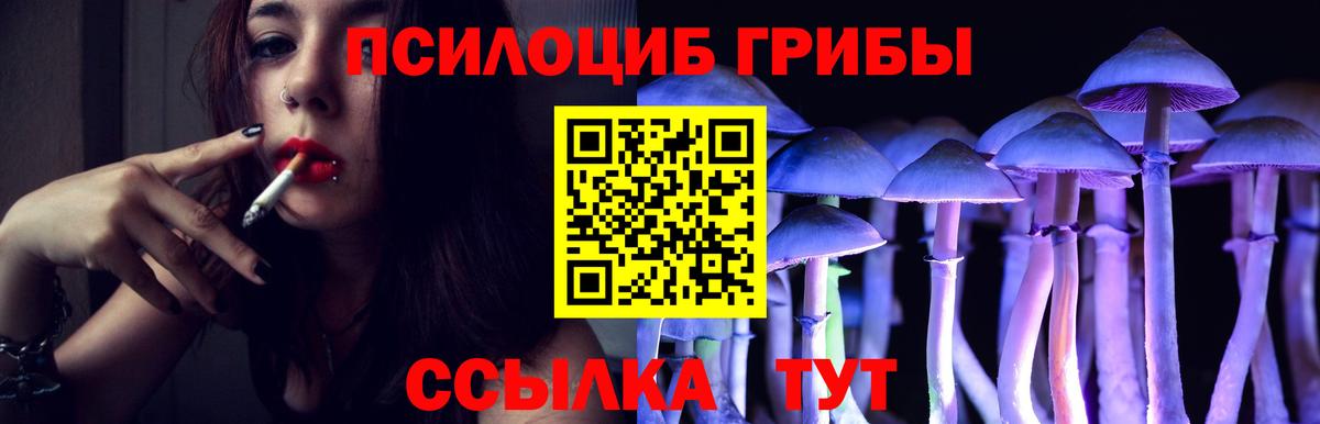 Великие Луки  Псилоцибиновые грибы GOLDEN TEACHER  Вход с VPN  Псилоцибиновые грибы GOLDEN TEACHER 