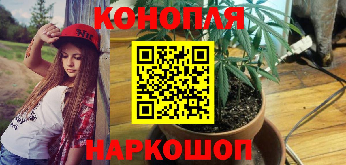 Марихуана гибрид Великие Луки